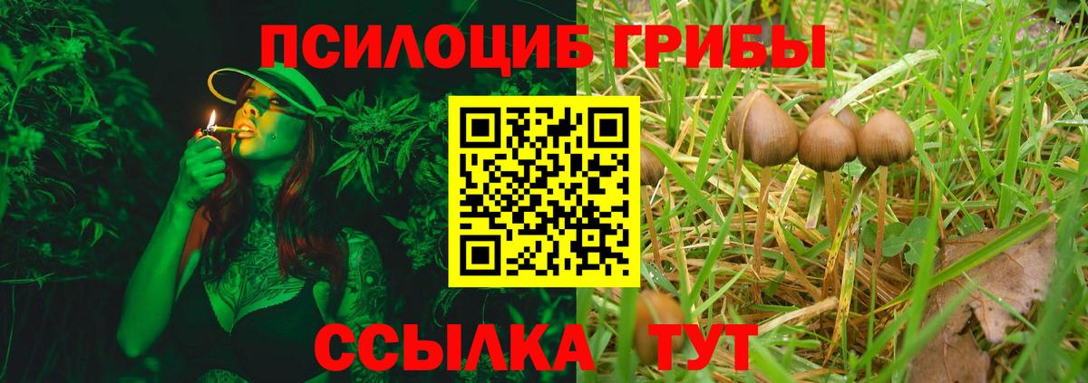 Alpha PVP Бузулук