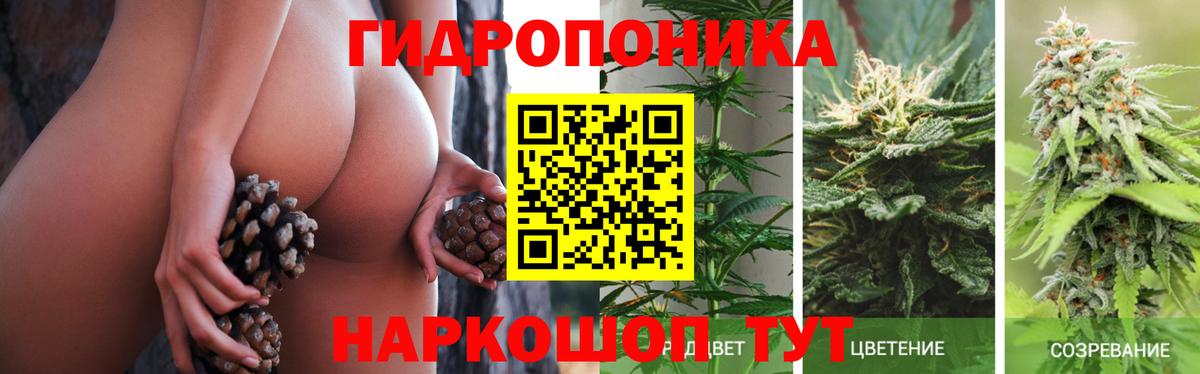 Канабис SATIVA & INDICA Бузулук